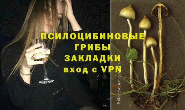 Альфа ПВП Алексин