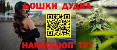 сатива Можга