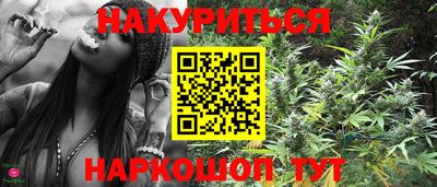 сатива Можга