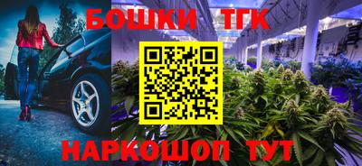 сатива Можга