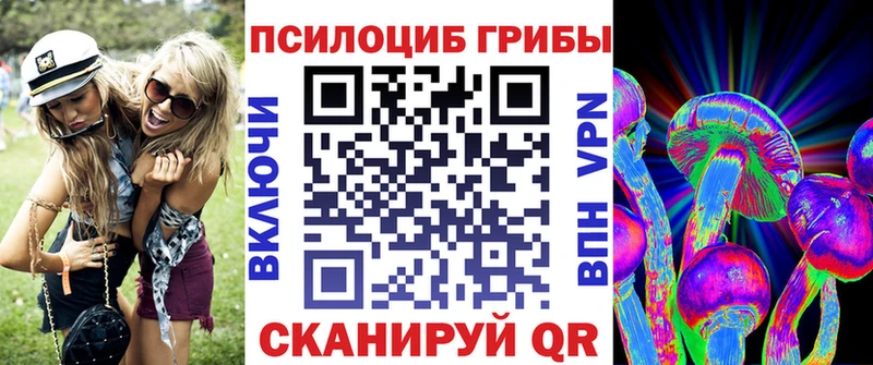 купить наркотик  Тавда  Псилоцибиновые грибы Psilocybe 