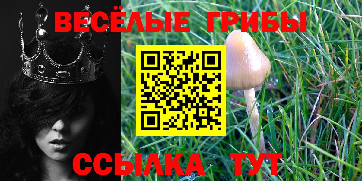 Псилоцибиновые грибы мухоморы  Вход с VPN  Галлюциногенные грибы Cubensis  как найти закладки  Тавда 