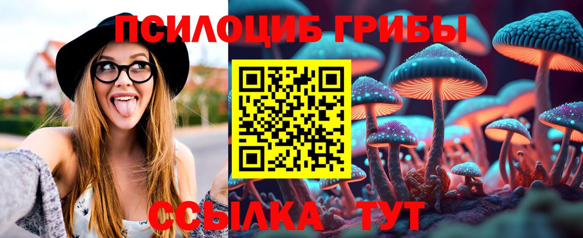 Галлюциногенные грибы мицелий Тавда